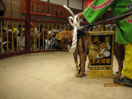 IMG_1212.jpg
