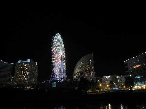 IMG_1585.jpg