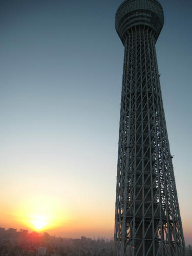IMG_1647.jpg