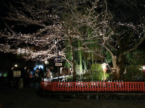 20130326_201736.jpg