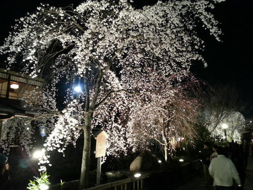 20130326_201008.jpg