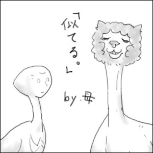 うろ覚えなおばちゃんとアルパカ