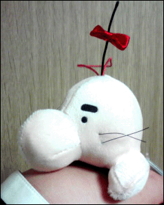 手の甲にジャストフィット