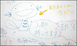 うーぱーうーぱー&ni;（・ｏ・）&isin;