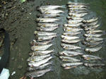 20080101000010_0309.JPG