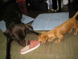 IMG_6043bl.JPG