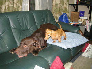 IMG_6083bl.JPG