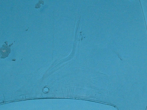 CIMG0649.JPG