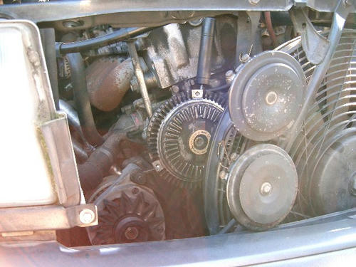 3321db73.JPG