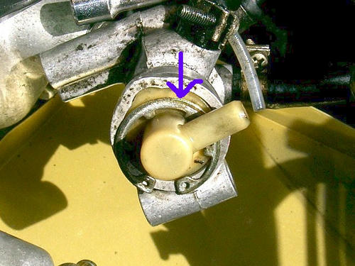 684da5ac.JPG