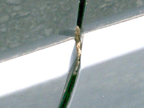 10d1214a.JPG