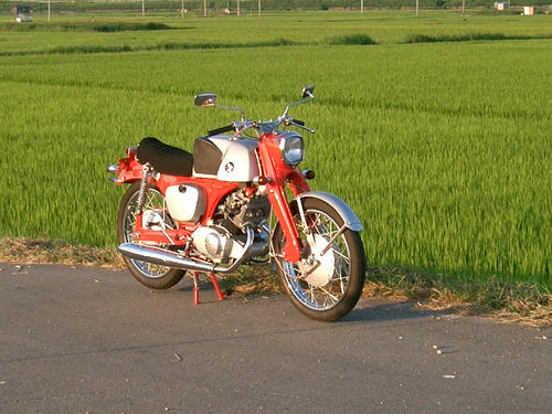 c99aa5d0.JPG