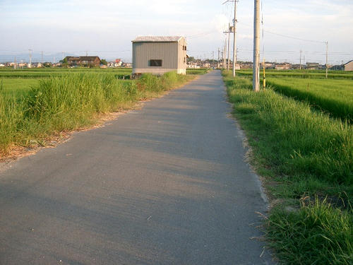 c5393284.JPG