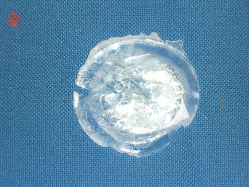 68146665.JPG