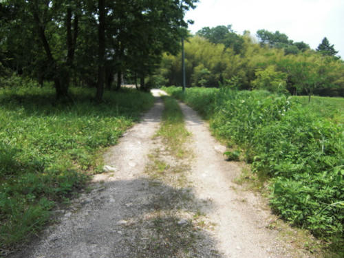 CIMG3806.JPG