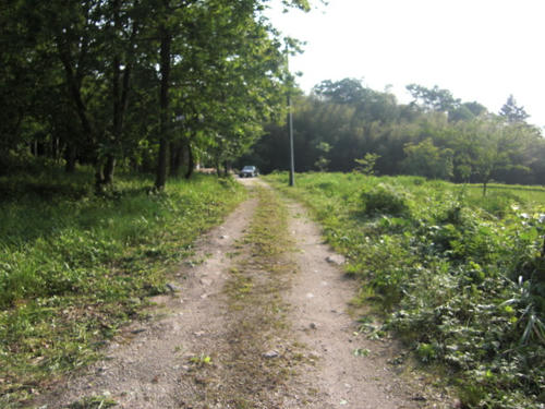 CIMG3808.JPG