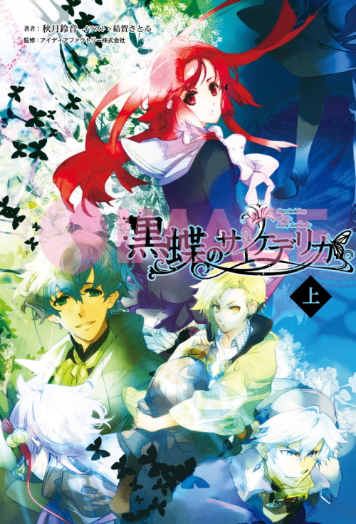 小説 黒蝶のサイケデリカ