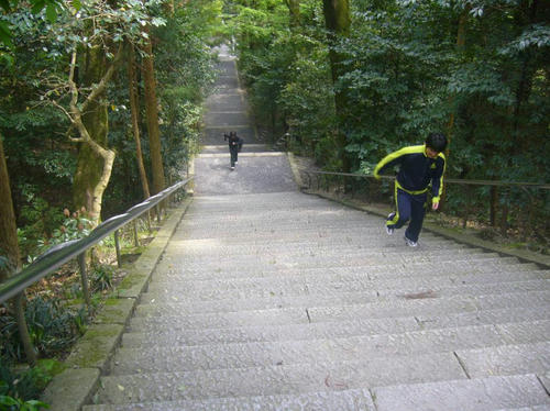 P1000610.jpg