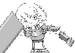 シー君