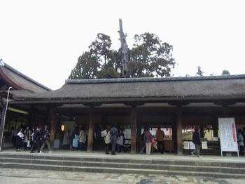 104.JPG