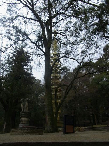 153.JPG