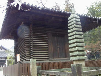 163.JPG