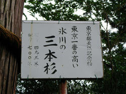 ん？読むと何か変・・