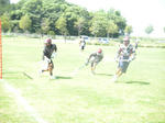 no23.jpg