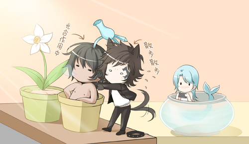 散歩に行きたい