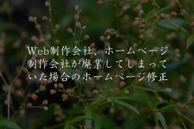 Web制作会社、ホームページ制作会社が廃業してしまっていた場合のホームページ修正