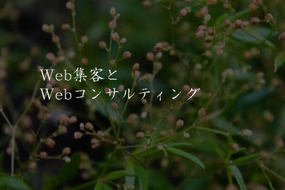 Web集客とWebコンサルティング
