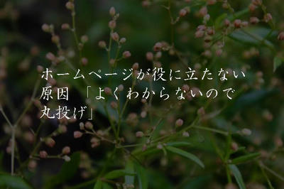 ホームページが役に立たない原因 「よくわからないので丸投げ」