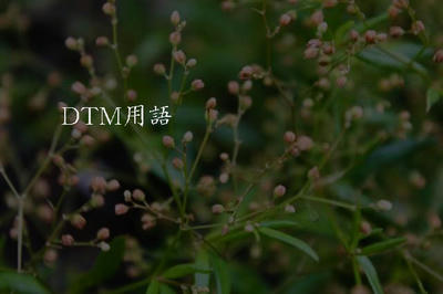 DTM用語