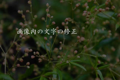 画像内の文字の修正
