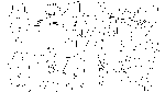 etya05.gif