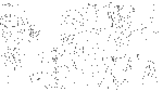 etya06.gif