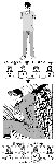 rikabari01.gif
