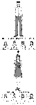 rikabari03.gif