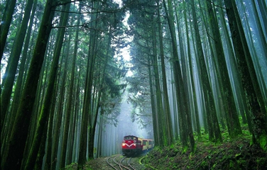 【NO.250】続報！阿里山森林鉄道　まさかの復旧無期延期