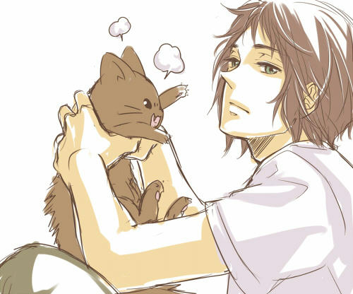 ねこ･･･かわいいよね