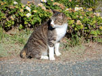 20200111g.JPG