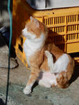 20200112e.JPG