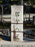 20200208i.JPG