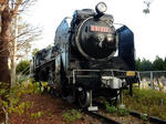 20200228d.JPG