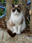20200229g.JPG