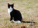 20200305d.JPG