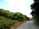 20200305e.JPG