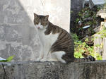 20200306b.JPG