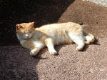 20200307e.JPG