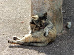 20200307f.JPG